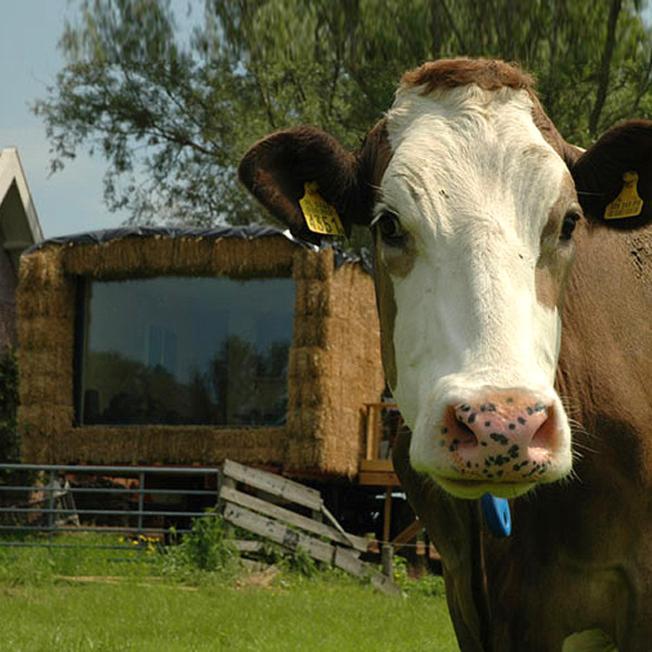 Gastopstal Wyns Exterior foto